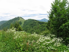Je čas rozhlédnout se po okolí