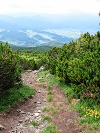 Dolů to bylo horší -