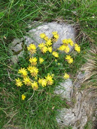 nejvyšší hoře Velké Fatry