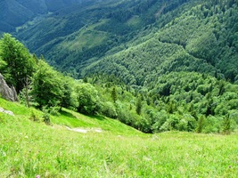 na samém okraji strmých srázů