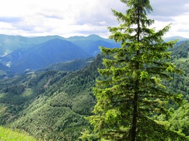 po úzkých cestičkách