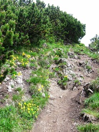 a pak se zase drápali vzhůru