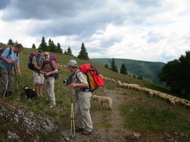 a my s nimi hned navazujeme kontakt