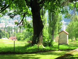 jsme vystoupali křížovou cestou