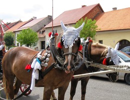 Přijely zdobné koňské povozy