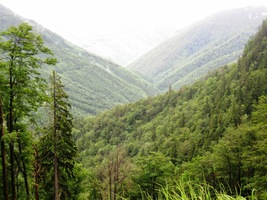 ČT 26.6. - Ráno ještě fouká vítr a mží