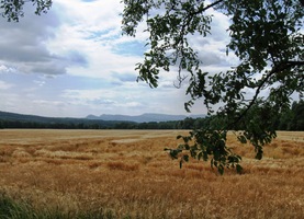 Já jsem pak ještě vyrazil