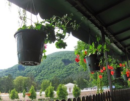 Podvečer jsme strávili v předzahrádce restaurace