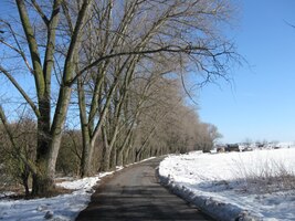 a cestou domů si pak zpíváme