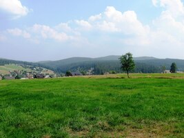 Přes kopce a zelená luka