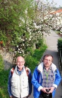 a květy kvetou "ostošest"