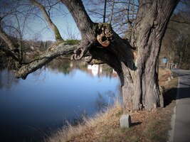 v okolí vsí Těptín a Kamenec