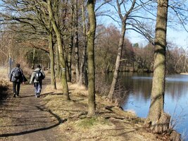 Cesta pak vedla kolem rybníků