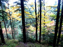 Další den jsme vystoupali