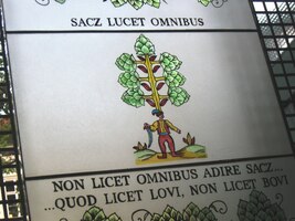 Tato latina (rozumíte?) je z toho nového