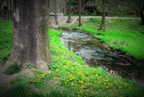 Duben 2014 - Tráva se zelená