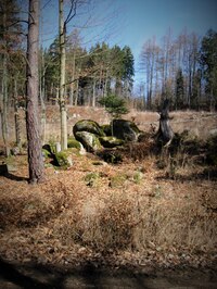 Březen 2015 - Lesem za nádražím v Prosečnici