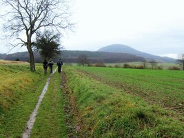 Cesta vede převážně lučinami