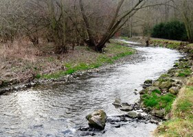 Březen 2015 - Za Lochovicemi překračujeme potok