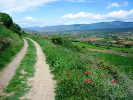 a jde dále po cestě, která se stala jeho údělem