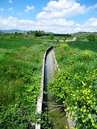 Zavlažování vinic tu funguje výborně,