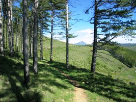 Řeka Aragon už uhnula k západu