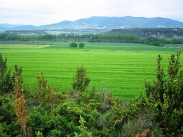 Údolí Aragonu je zde rozlehlé