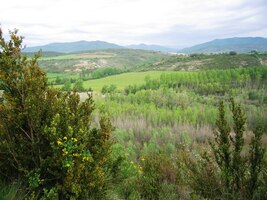 Druhý den už vyrážím na cestu sám (Zdeněk odjel domů)