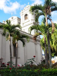 ke sluncem osvětlené katedrále