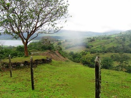 takže hlavní atrakci parku asi nespatříme