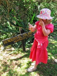 a noříme se do pralesa