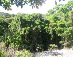 Na úpatí sopky je místní rarita