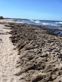 Pobřežní skaliska jsou členitá,