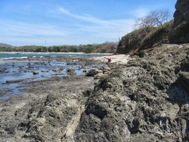 a hlavně nekomerční