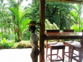 a přihopkal až k lesní restauraci,