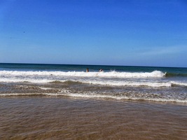 které si s nimi ovšem dělají co chtějí