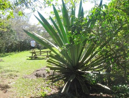 národního parku Rincon de la Vieja