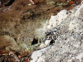 sirný vývěr do proudu potoka