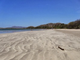 a bosky se jít nedá