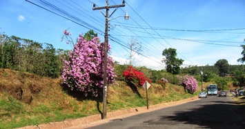 Je poslední náš kostarický den