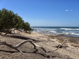 abych zkontroloval jeho proměnu