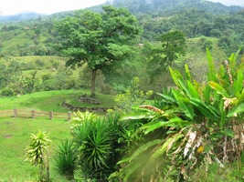 Vulkán Arenal,, vysoký přes 1700 m,