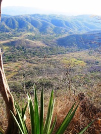 Mně připomínala africký kráter Ruwendzori