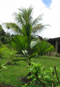 Stoupáme k vyhlídce s nadějí na zázrak