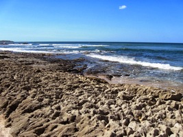 pórovitá, drsná až ostrá