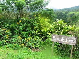 se nehodlá vynořit z mraků