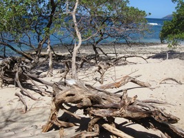 Dost úvah a rychle domů, odpoledne jedeme na výlet!