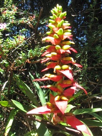 a my jedeme na výlet