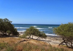 Ráno jdu k moři sám,