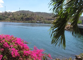 kde se kocháme místní florou